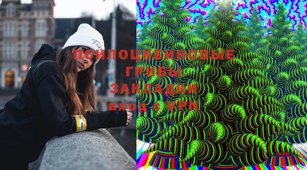не бодяженный Дмитровск