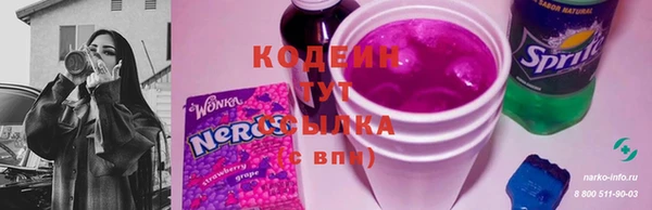 spice Дмитриев