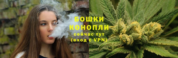 spice Дмитриев