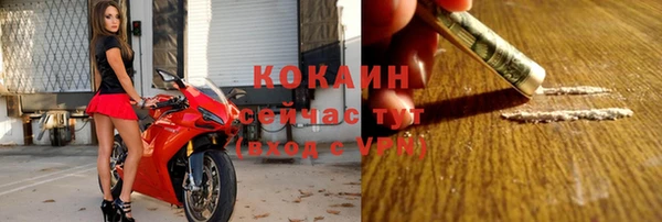 винт Гусев