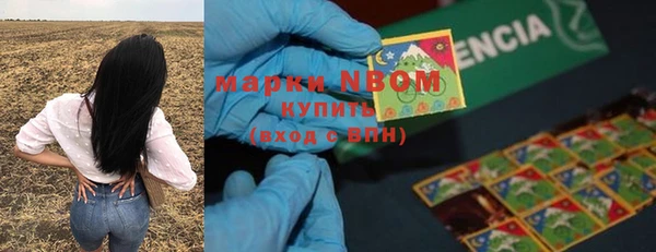 PSILOCYBIN Гусь-Хрустальный